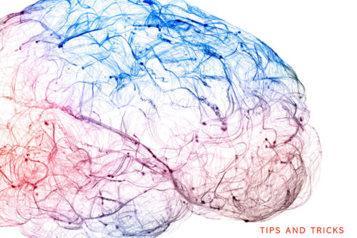 Cover image for the article 'The Best Books to Improve Memory', featuring a creative, colorful brain illustration symbolizing memory improvement tips and tricks derived from selected books