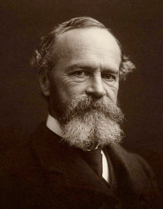 Portrait of William James, a prominent figure in pragmatism, known for his intellectual range and broad sympathies.